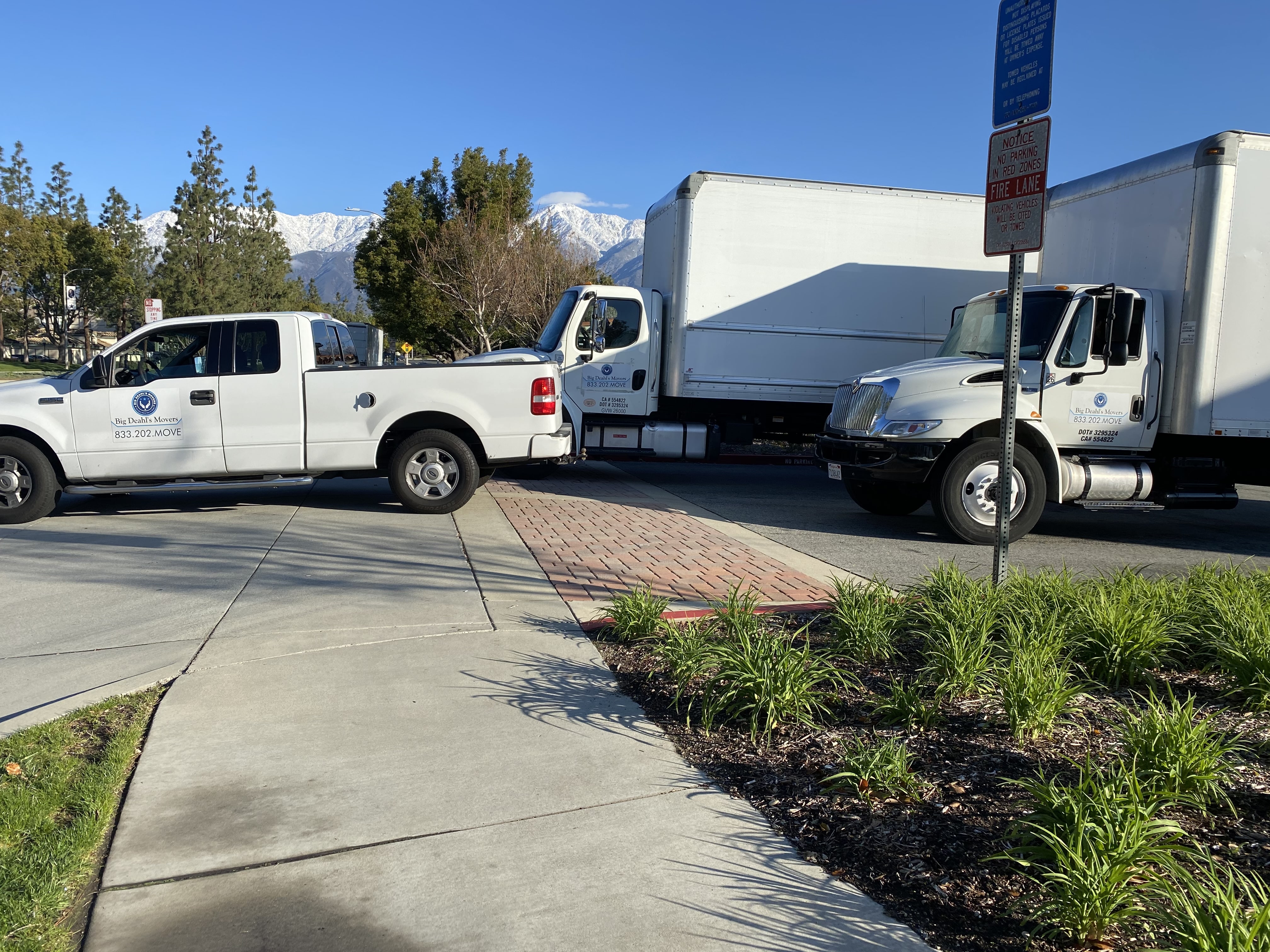 Efficient Office and Commercial Labor Moving in Newport Coast